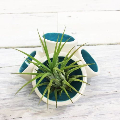 Mini Pods - Teal Mini Pods - Teal