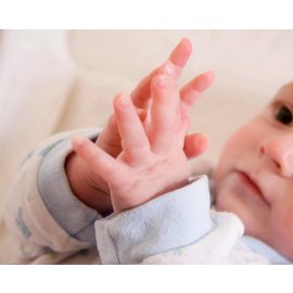 Enchanted Forest Baby Sign Language Series Fall 2019