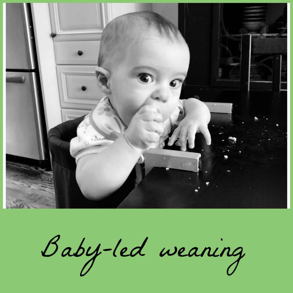 Introducing Solids Q & A with Michelle Evans, RD