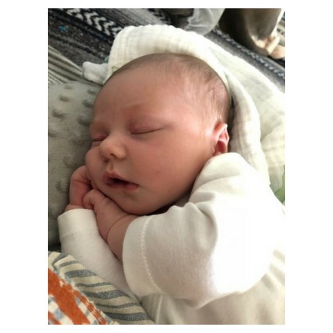 We Would Like to Introduce You to Freya!