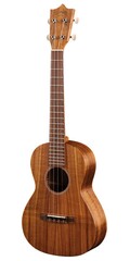 Martin Ukulele