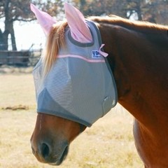 Fly Care
