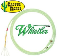 Cactus Ropes