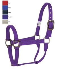 Halters and Leads
