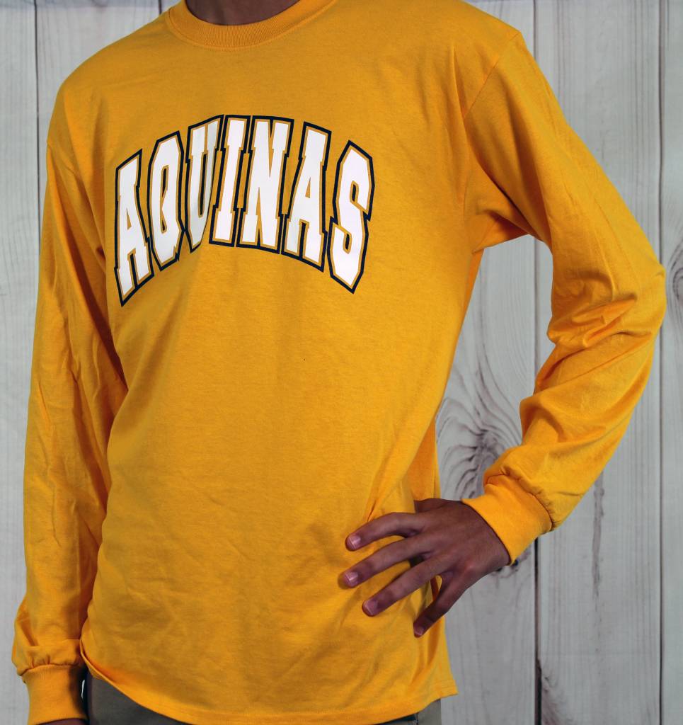 st thomas aquinas t shirt