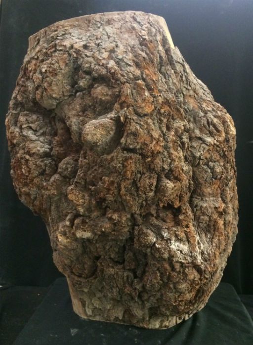 Cherry Burl 19X17X11 051002 The Compleat Sculptor The Compleat