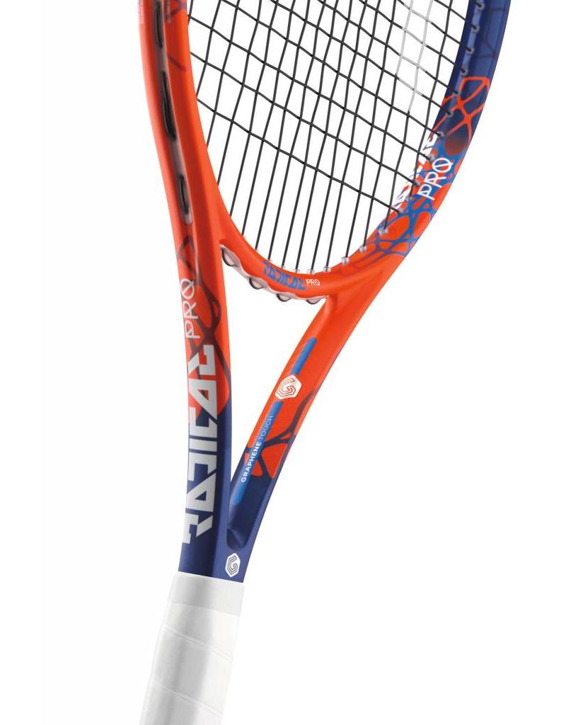 graphene radical