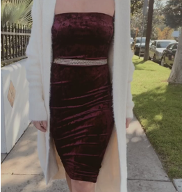 Envy Velvet Dress