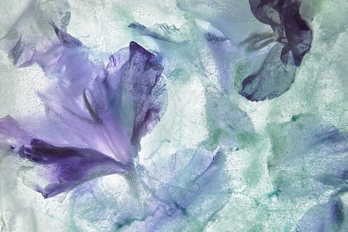 Artist Feature: Heather Monks