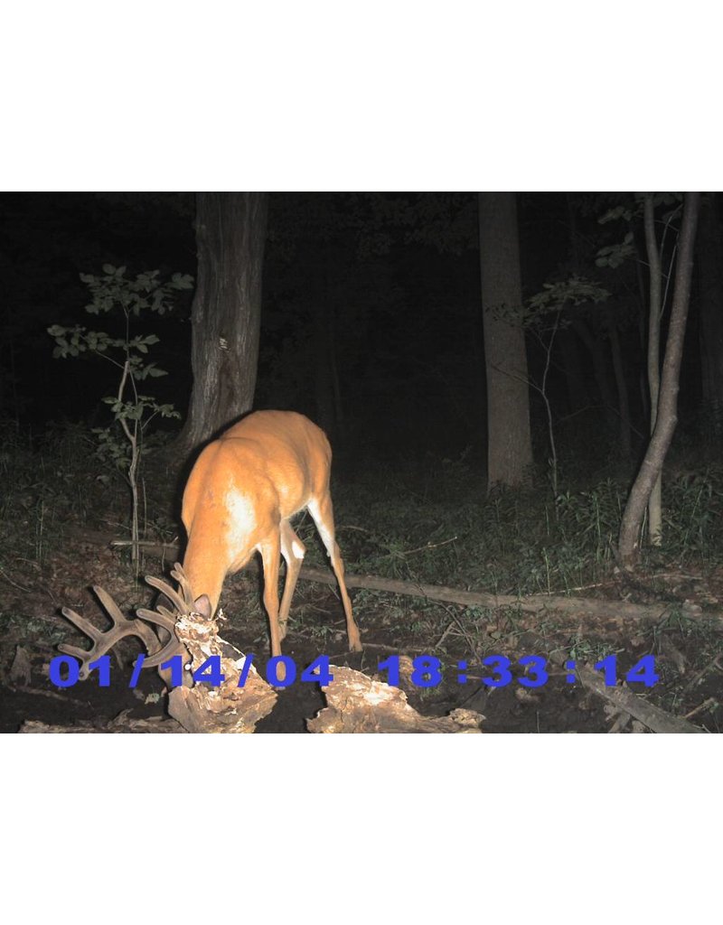 Glory Mineral 50 lbs. Rack Stacker