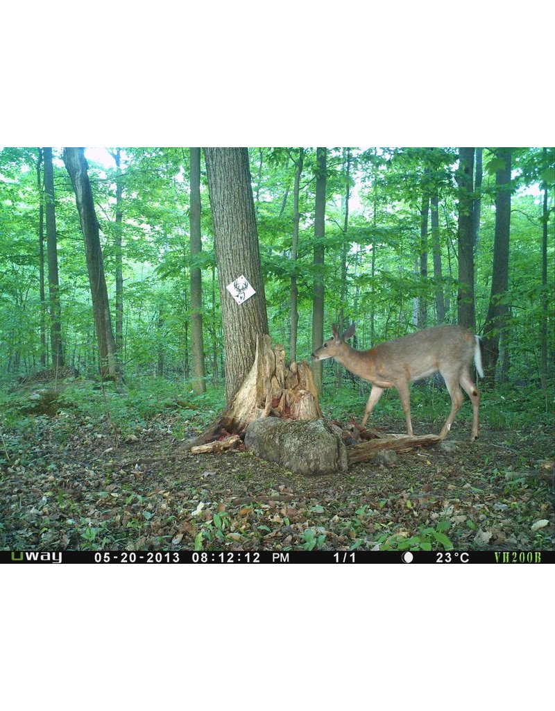 Rack Stacker Blaze Mineral 20lbs. Rack Stacker