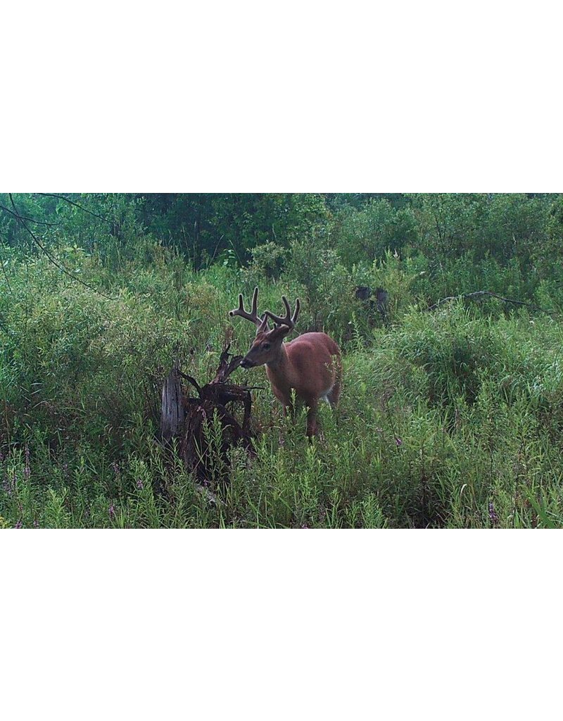 Rack Stacker Blaze Mineral 20lbs. Rack Stacker