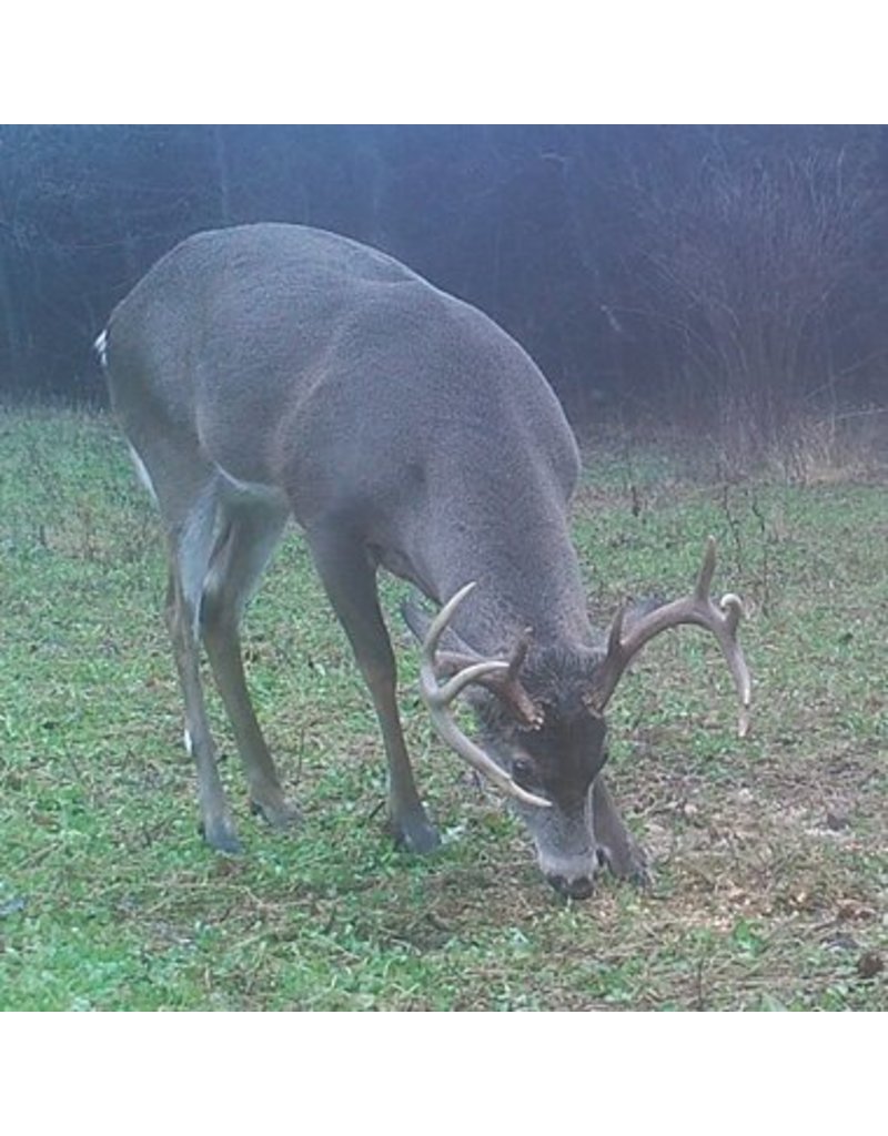 Entice 5 lb. Rack Stacker