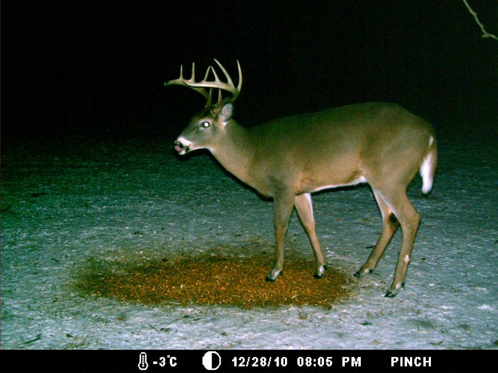 Rack Stacker Original Deer Feed 44lbs. Rack Stacker