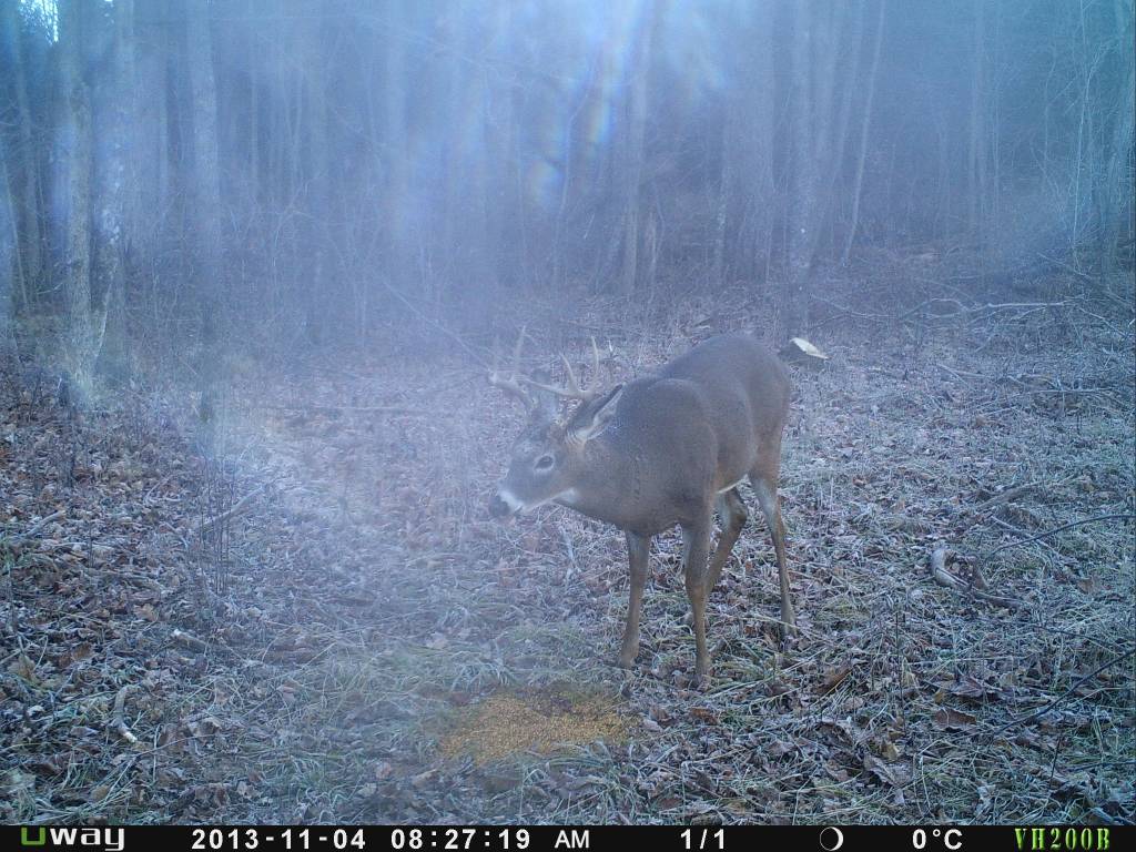 Rack Stacker Original Deer Feed 44lbs. Rack Stacker