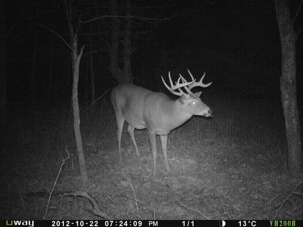 Rack Stacker Original Deer Feed 44lbs. Rack Stacker