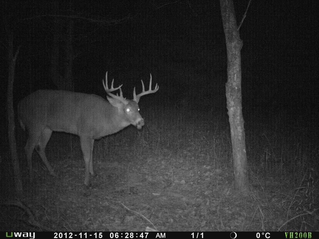 Rack Stacker Original Deer Feed 44lbs. Rack Stacker