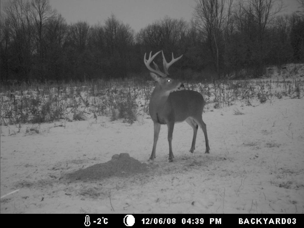 Rack Stacker Original Deer Feed 44lbs. Rack Stacker