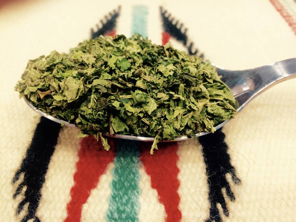 Nettle Materia Medica
