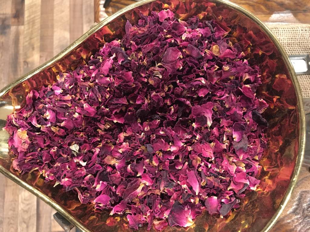 Rose Materia Medica