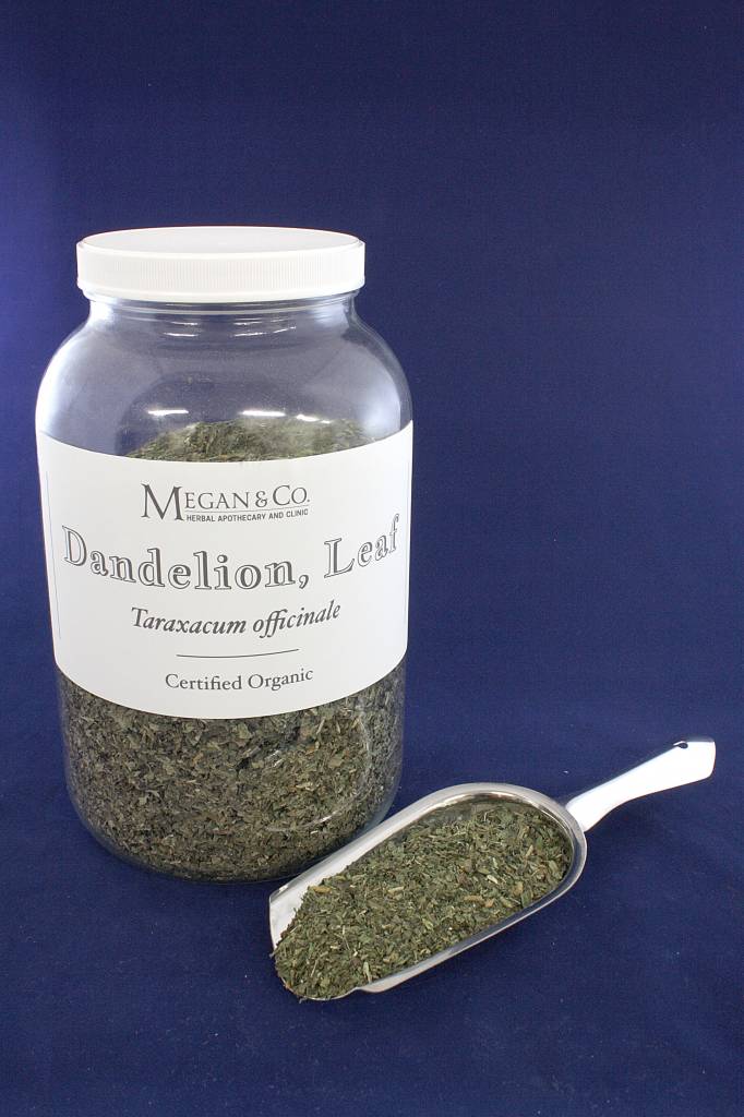 Dandelion Materia Medica