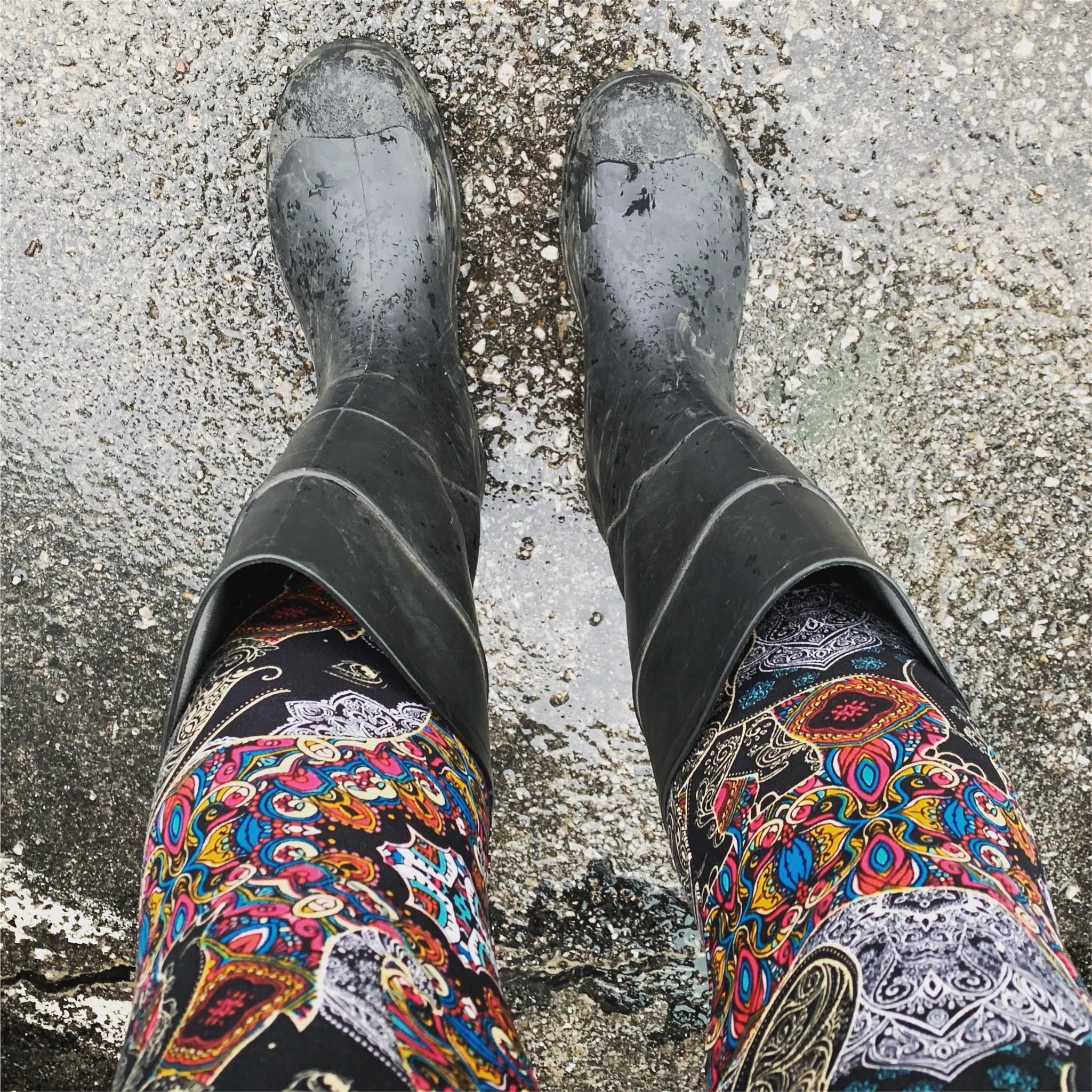 Elephant Leggings + Wellies