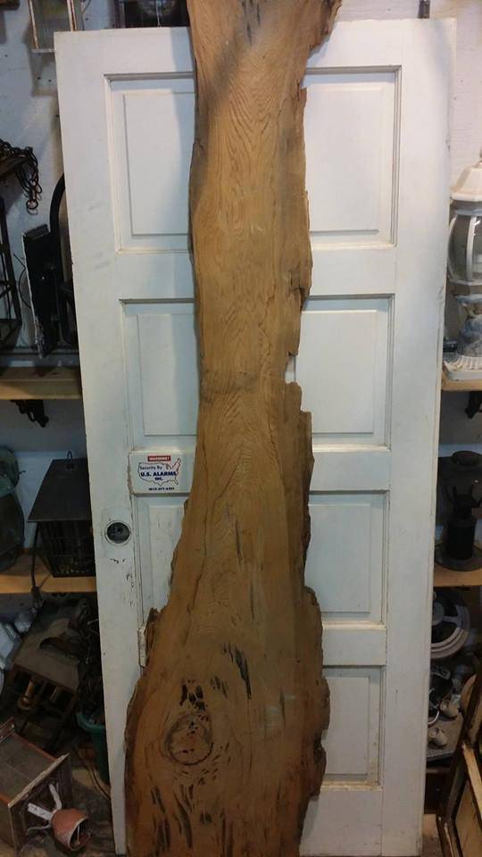 Pecky Cypress Live Edge Slab Sarasota Architectural Salvage, 1093