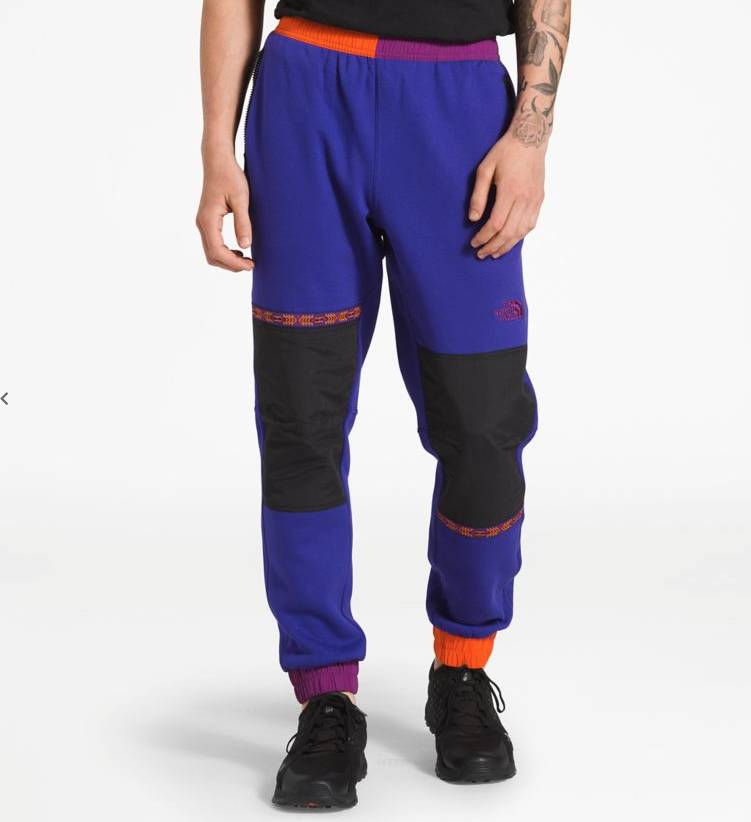 the north face rage pants