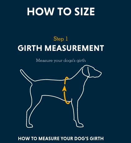 Ruffwear Dog Harness Size Chart