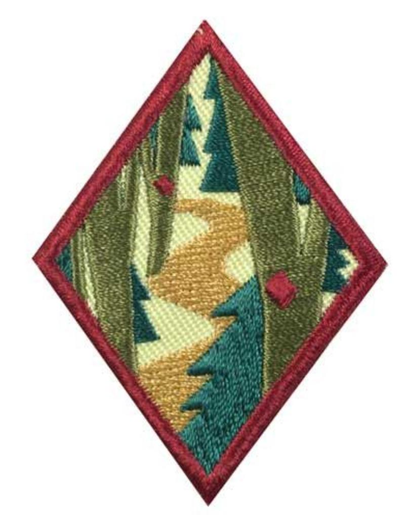 GIRL SCOUTS OF THE USA Cadette Trailblazing Badge Girl Scouts of