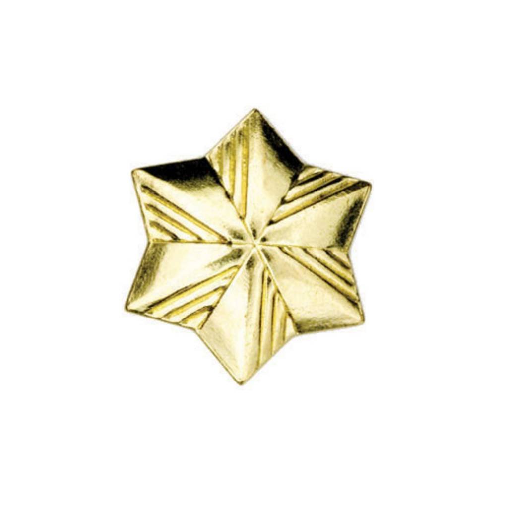 Membership Star Pin Girl Scouts of Silver Sage Council Shop