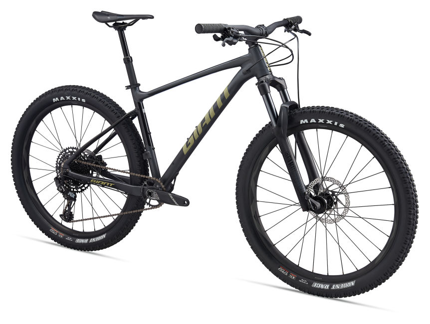 2019 giant fathom