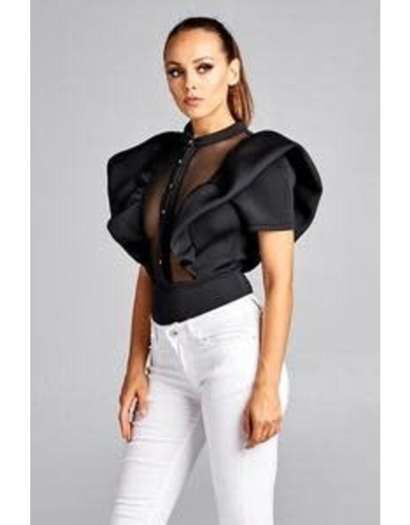 sheer puff sleeve