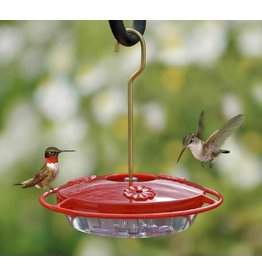 Small Hummingbird Feeder Raven Tree Wild Bird And Nature Shop