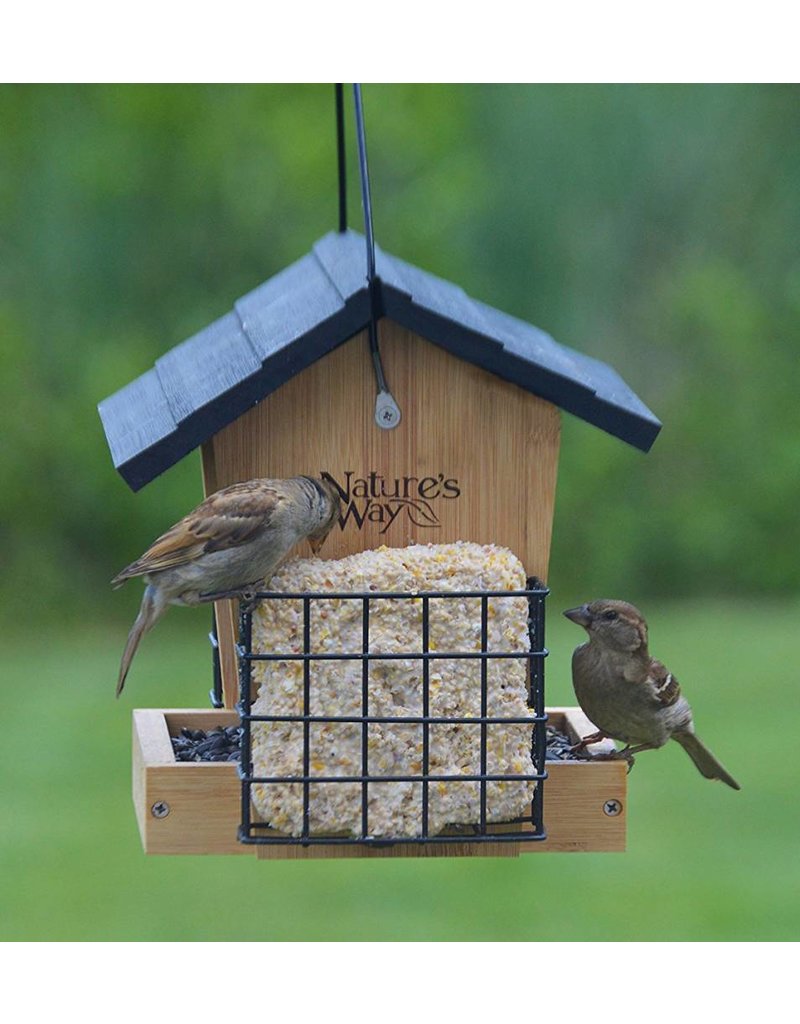 Wood Feeder Hopper Bamboo 3 Qt With Suet Feeders Nwbwf28