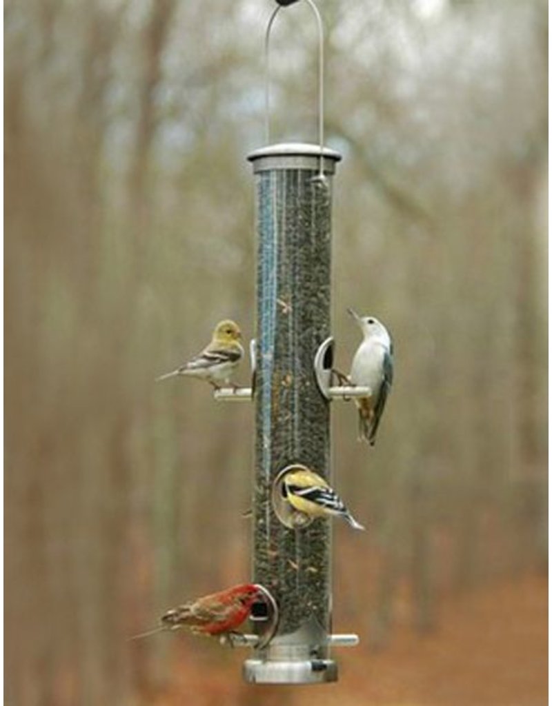 Seed Tube Aspects 393 Nickel Large Quick Clean Raven Tree