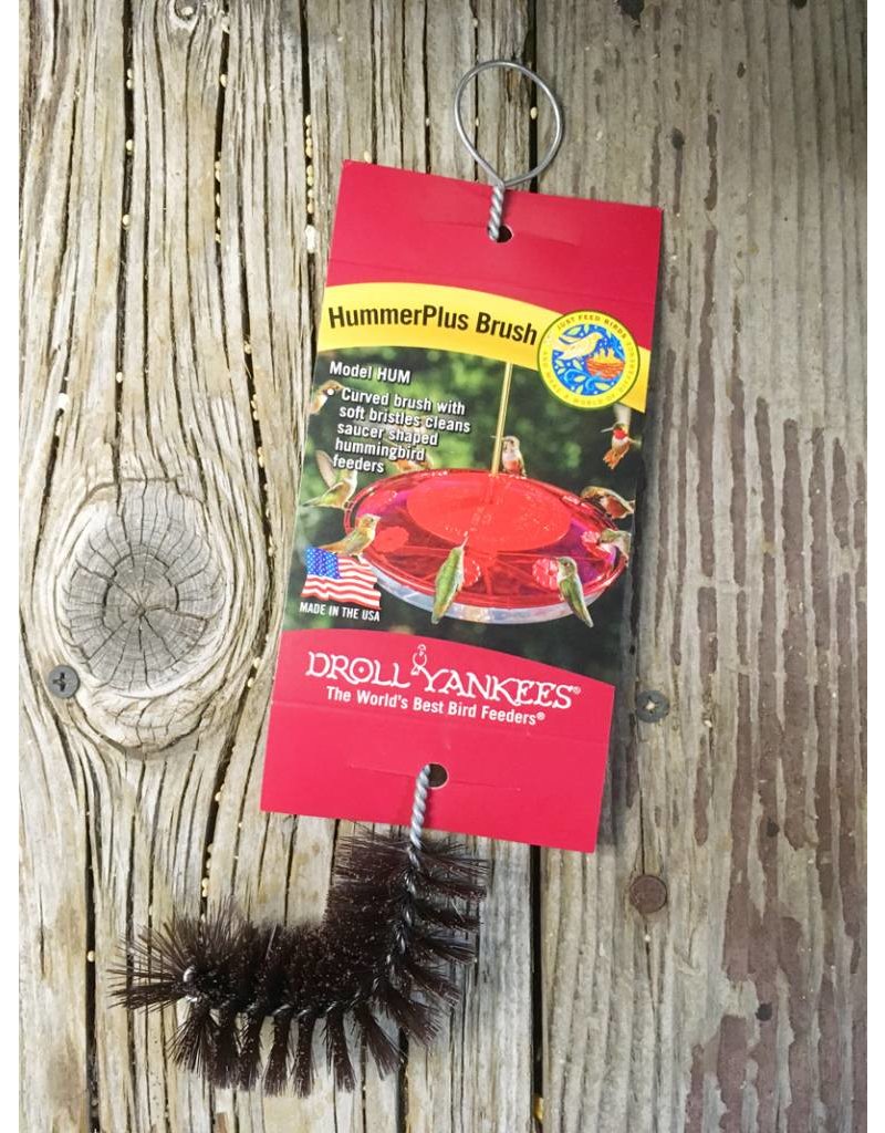 Brush Hummer Plus Droll Yankee Dyhum Raven Tree Wild Bird