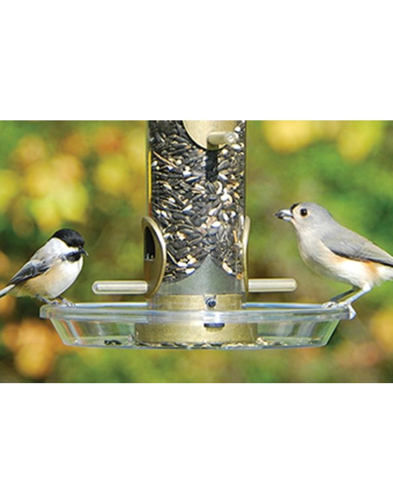Round Seed Tray Aspects 8 5 Diam Aspects050 Raven Tree