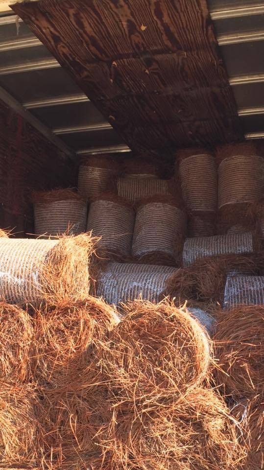 Pine Straw Roll Long Needle A Bloom Garden Center