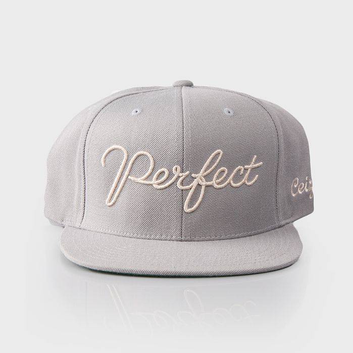 The Perfect Snapback Grey