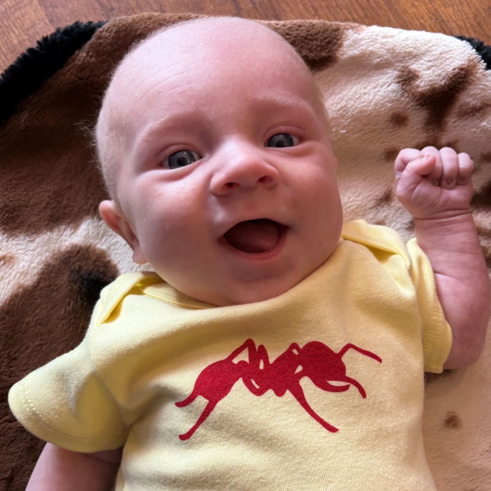 Red Ants Pants Onesies - Red Ant