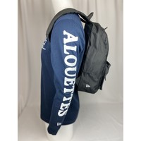 Fan stadium backpack