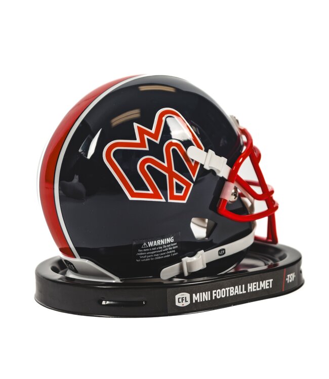 ALOUETTES MINI HELMET