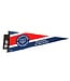 Sports Vault ALOUETTES PENNANT FLAG
