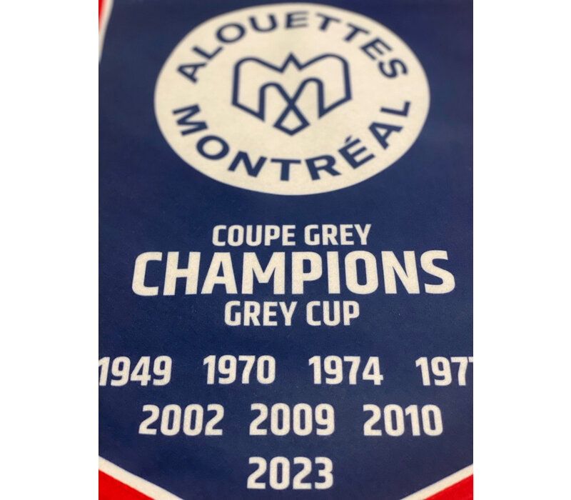 BANNIÈRE CHAMPION COUPE GREY