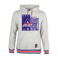 DELTA GRAPHIC GREY HOODIE