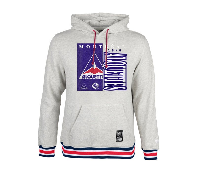 DELTA GRAPHIC GREY HOODIE