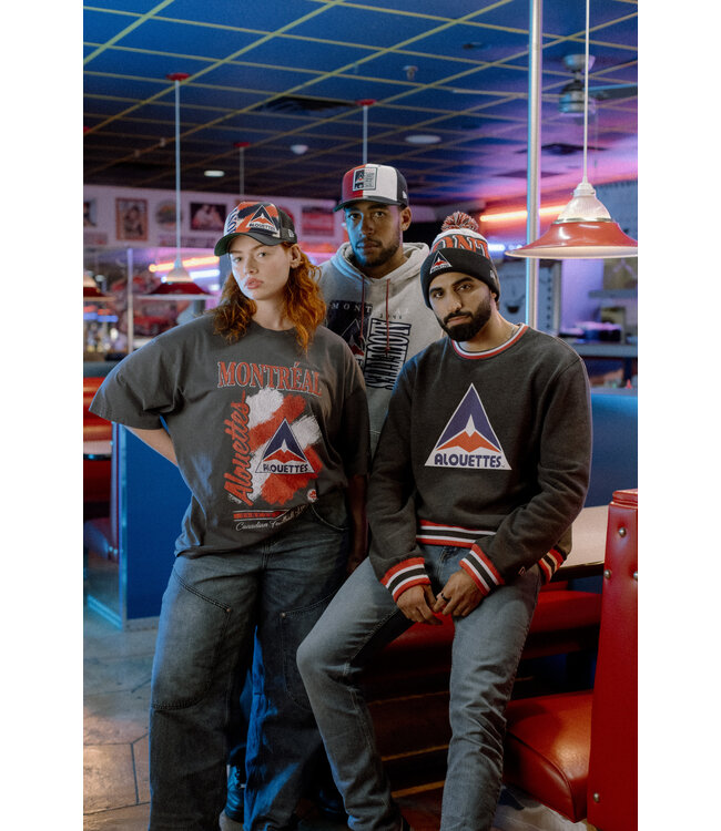 DELTA GRAPHIC GREY HOODIE