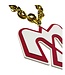 FAN CHAIN RED LOGO