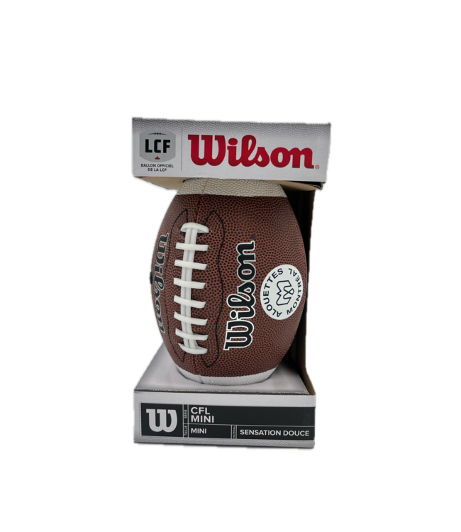 FOOTBALL ENFANT ALOUETTES 2025